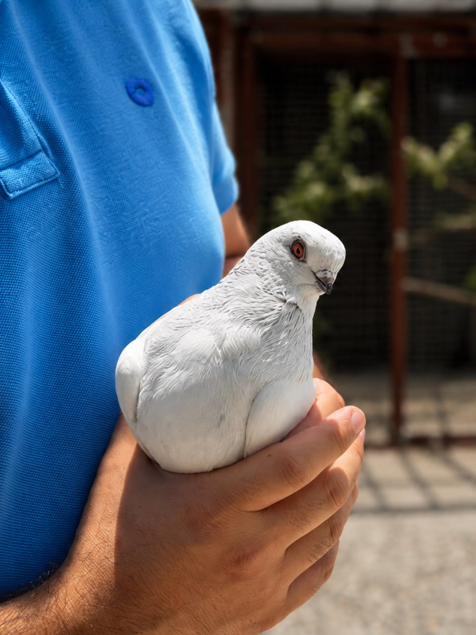 Nadire'de Günlük Gözlem