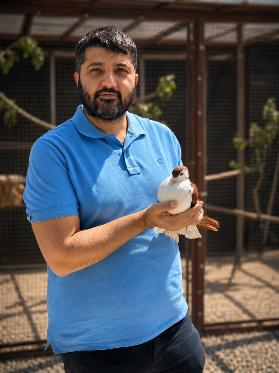 Seçici Bakım Anlayışı